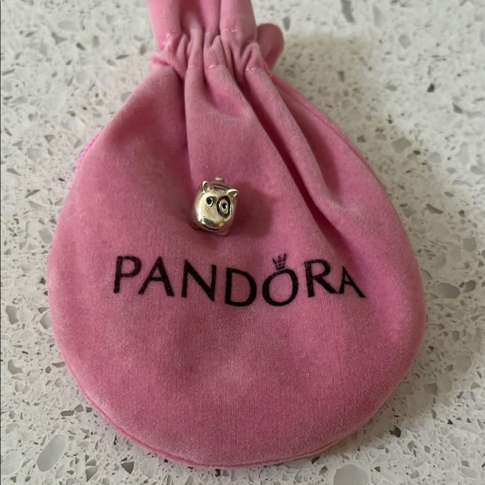 Pandora Retired Silver Patch Dog Charm